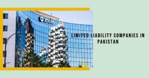 Read more about the article Taxation of Limited Liability Companies in Pakistan