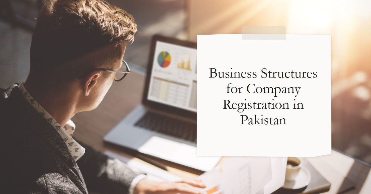 You are currently viewing Types of business structures for company registration in Pakistan