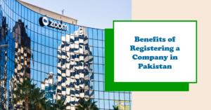Read more about the article Advantages of having a registered company in Pakistan