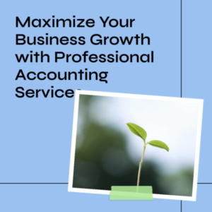 Read more about the article The Importance of Professional Accounting Services for Businesses in Pakistan
